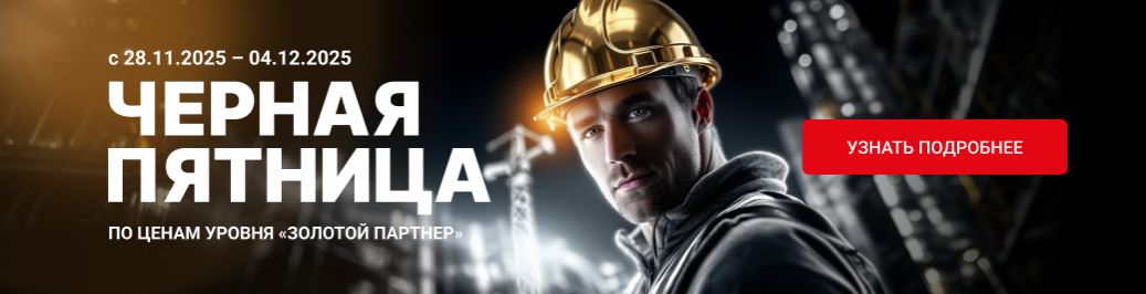 Черная пятница 2025 (категория)